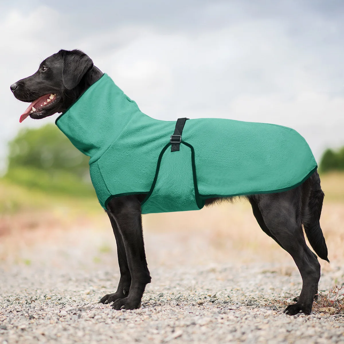 Thumbnail 3 - #9 Trending Dog Coats Right Now