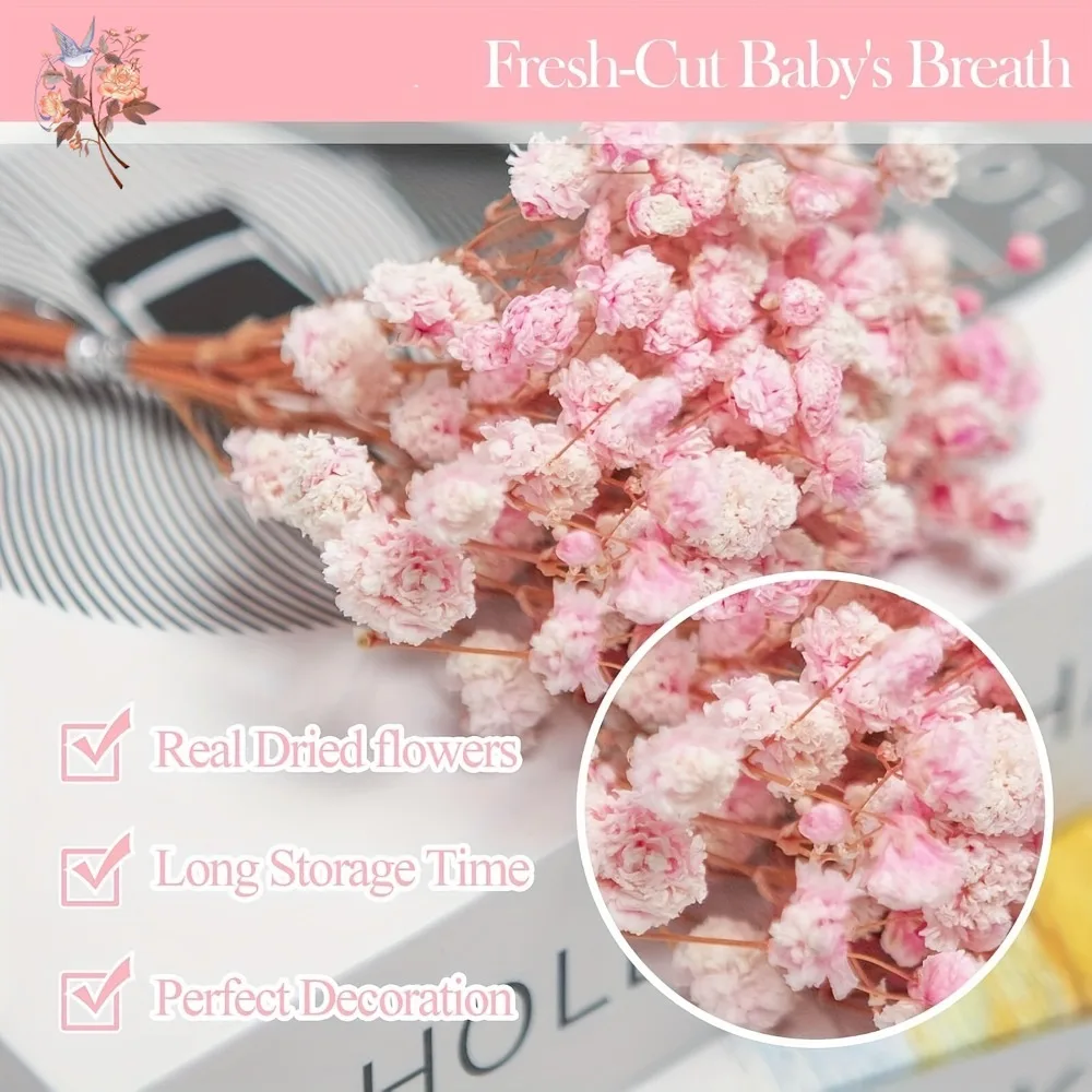 Thumbnail 4 - #19 Top Dried Flowers Picks for Every Budget