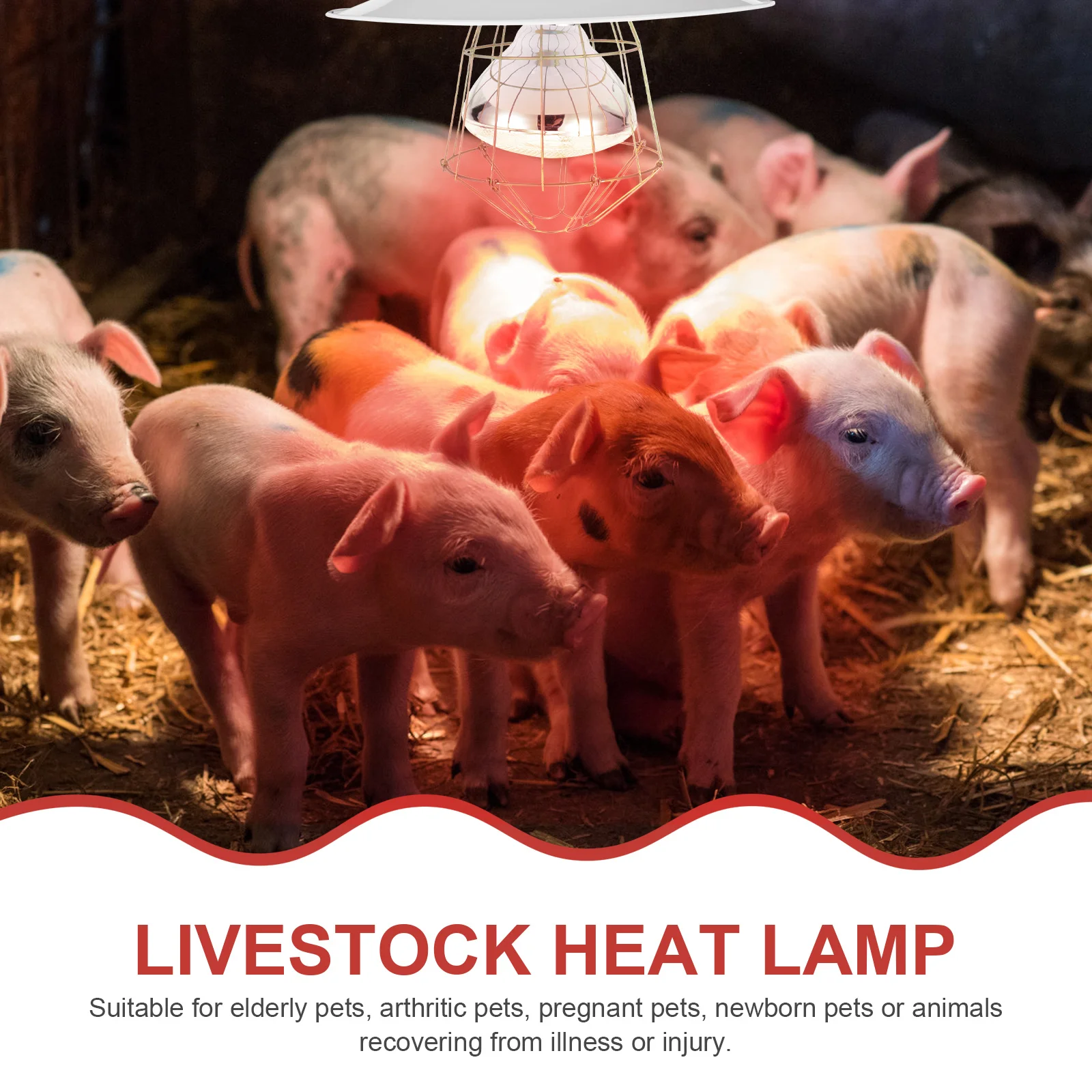 

Heat Lamp for Poultry Livestock Mini Pig Suitable Newborn Recovering Pets Safe Use Material Good Heating Effect