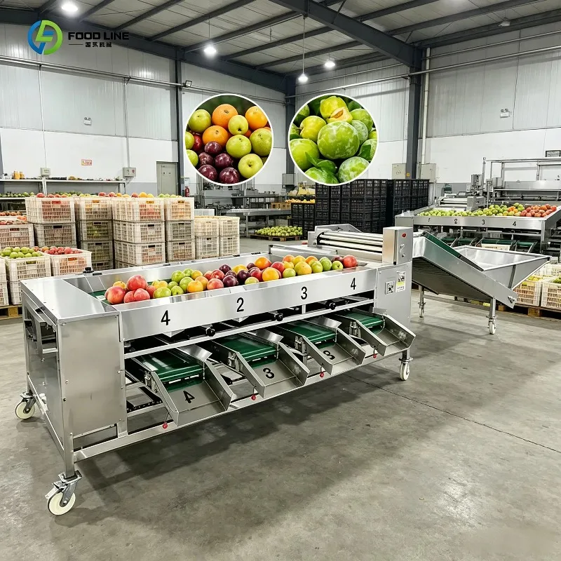 FLIndustrial Fruit and Vegetable Sorting Machine Automatic Size Grading Equipment for Various Farm Produce
