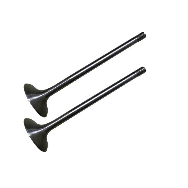 

Quanshun 2.2 Intake and Exhaust Valve 1706990 1376413 1738494 1217148 2.4 Engine Parts