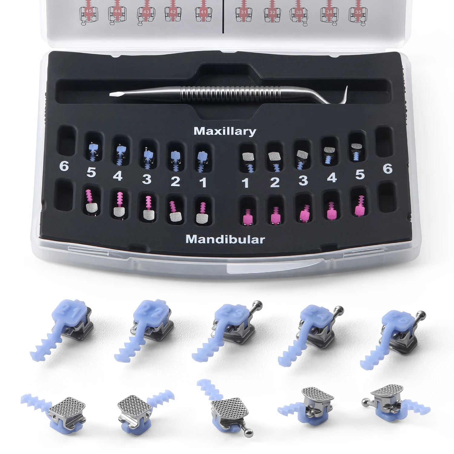 AZDENT Zahnspangen Selbstligierende Brackets mit Netzbasis 20 Stück Roth MBT 0.022 Haken 345 mit Werkzeug Zahnmedizinisches Material – Detail 5