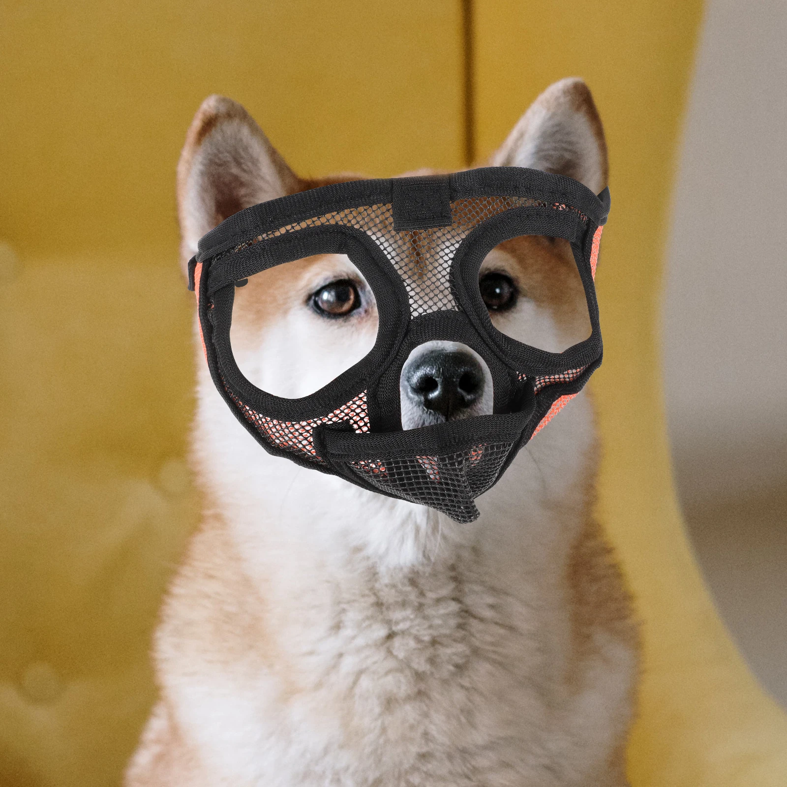 

Adjustable Dog Muzzle PVC Short Snout Anti Bite Mask Breathable Pet Muzzle For Outdoor