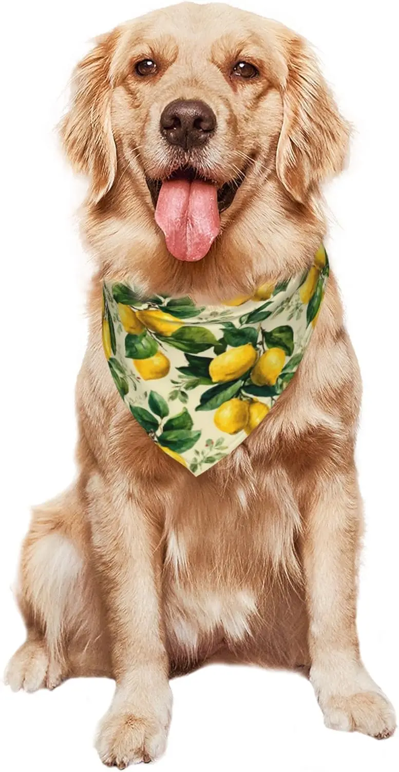 Yellow Lemon Leaves for Dog Bandanas Adjustable Dog Scarf for Boy and Girl Pet Bandana Triangle 1PCS Pet Scarf view 4