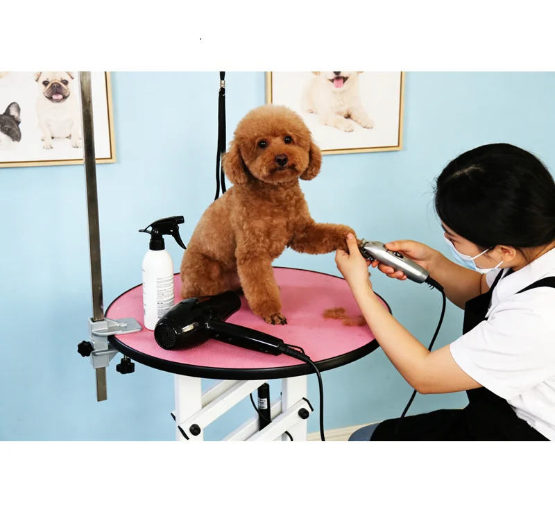Modern round pet grooming station with a sleek design and stainless steel rod for grooming and basic care