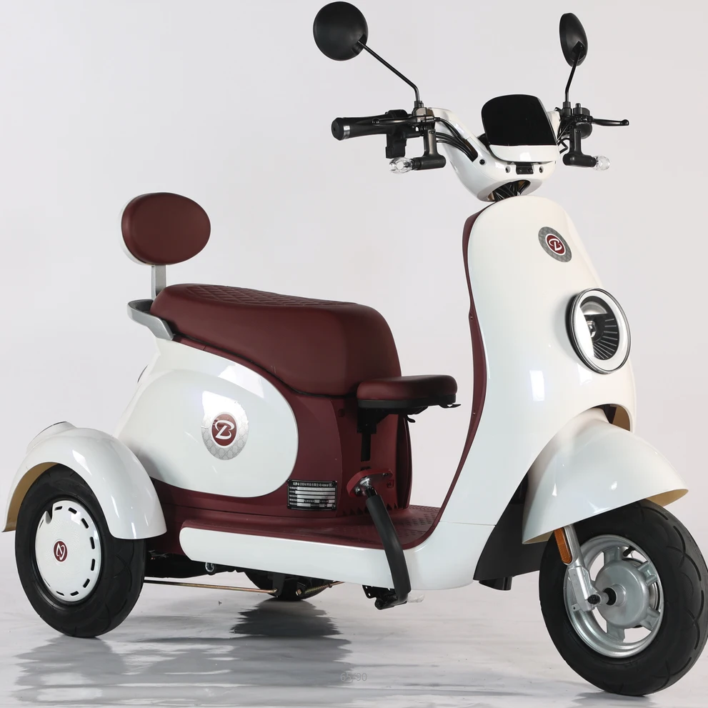 

New Generation 48V Electric Pedicab for Adults Kids Steel Frame With Central Motor Carrying Disabled Adults