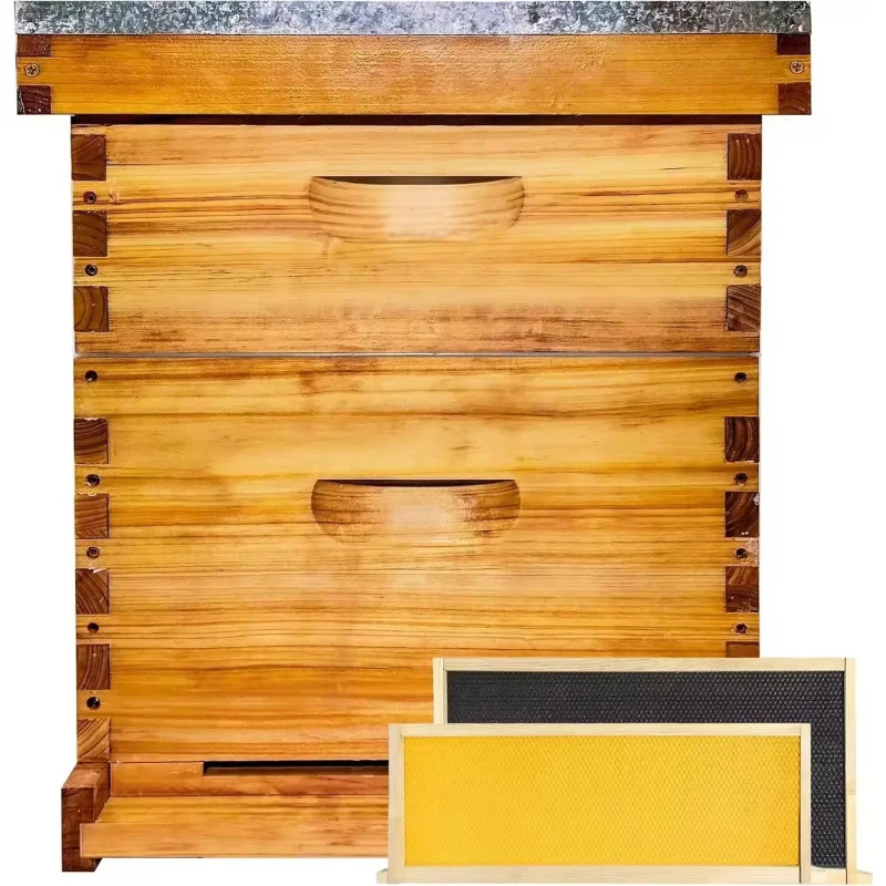Box Complete Beehive Kit 100% Bee Hive Includes Frames And Beeswax Coated Foundation Sheet