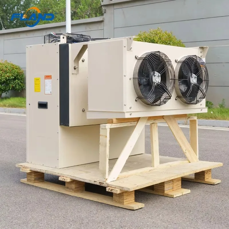 

Commercial Rapid-cooling Refrigeration Equipment: Freezer Unit For Frozen Food Storage