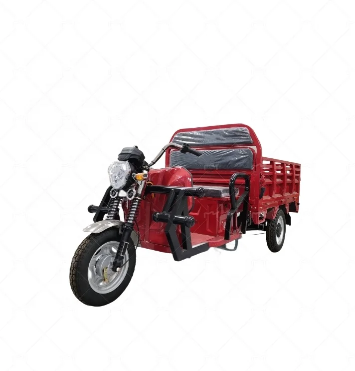 Family Electric Cargo Bike Tricycle LEAD ACID Battery Motorcycle 60V Aluminum 3 Wheel Closed