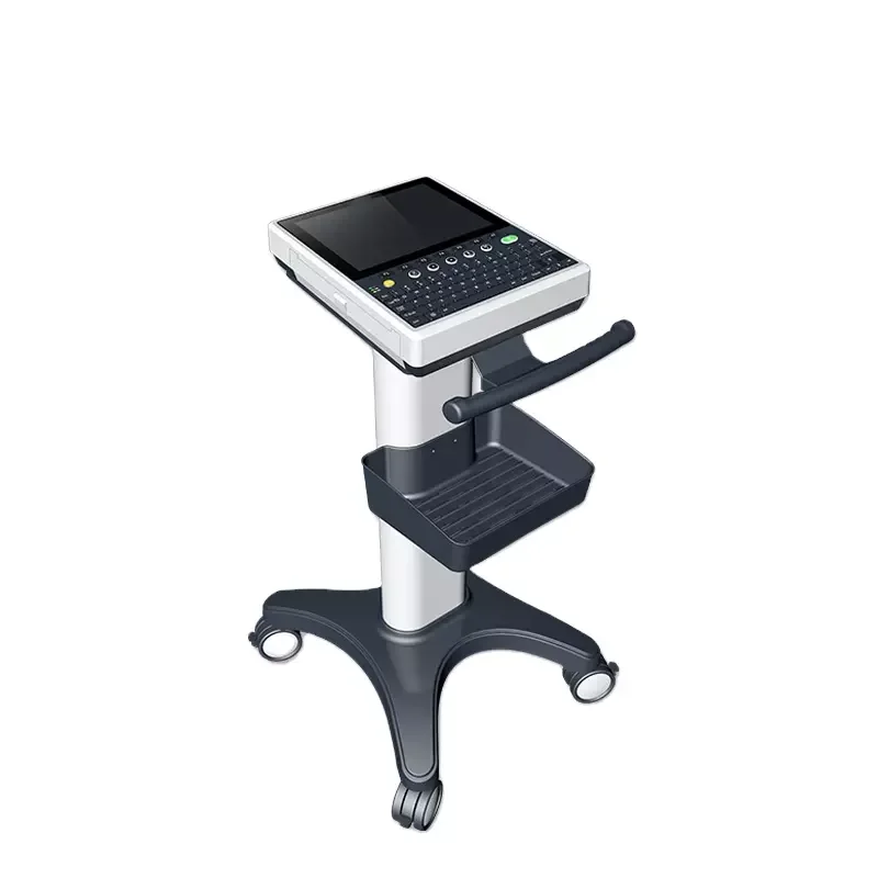 

10,4-дюймовый ЖК-дисплей перезаряжаемый 12-канальный медицинский профессиональный