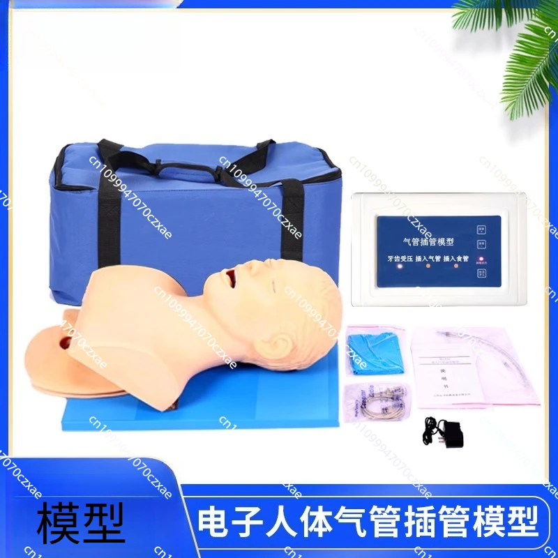

J5S Oral, Nasopharynx Adult Airway, Emergency Medical Nursing Training Mannequin