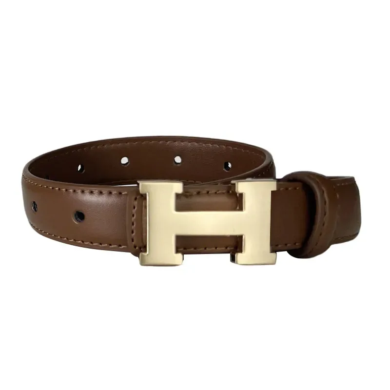 2025 Women's Belt |   Denim personalized Style Decorated Alloy Belt Dress for Women with thin waist belts