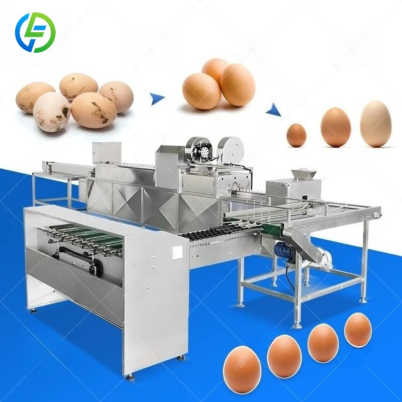 FL Customized Farm Fresh Egg Washing Line Anti‑scratch Egg Washing Machine Chicken Egg Surface Washing & Cleaning Device
