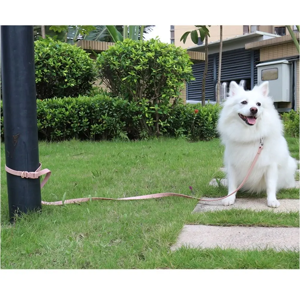 Thumbnail 4 - #37 Best Adjustable Pet Collars to Buy In 2026