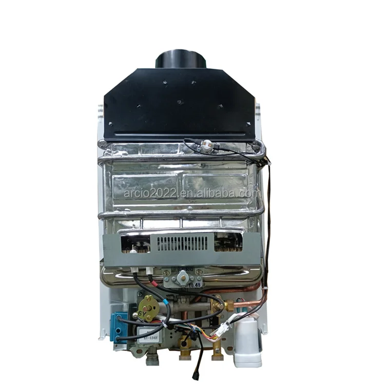 Calentador de agua de gas universal de 10 litros, calentador de agua de gas tipo escape de combustión, géistentes de agua caliente