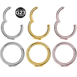 100% ASTM F136 G23 Titanium Hinged Segment Rings Daith Conch Earring Septum Hoop Piercing Jewelry 16G 18G 20G 6-12mm