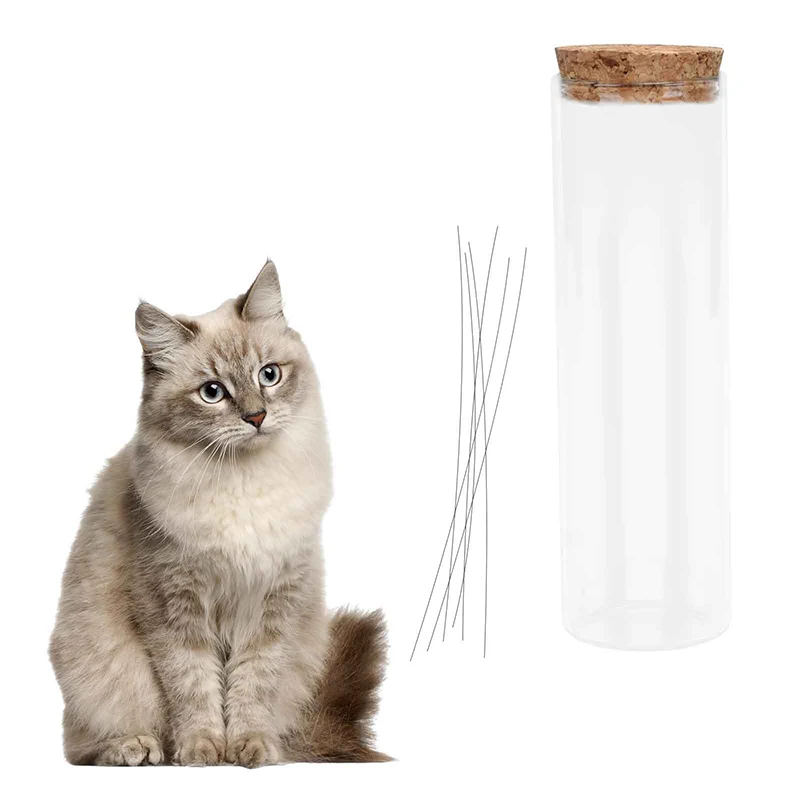 

Архивный горшок для кошачьего усы, прозрачный держатель для подарков на память для домашних животных, кондиционер в подарок для сухожилия от потери кошек
