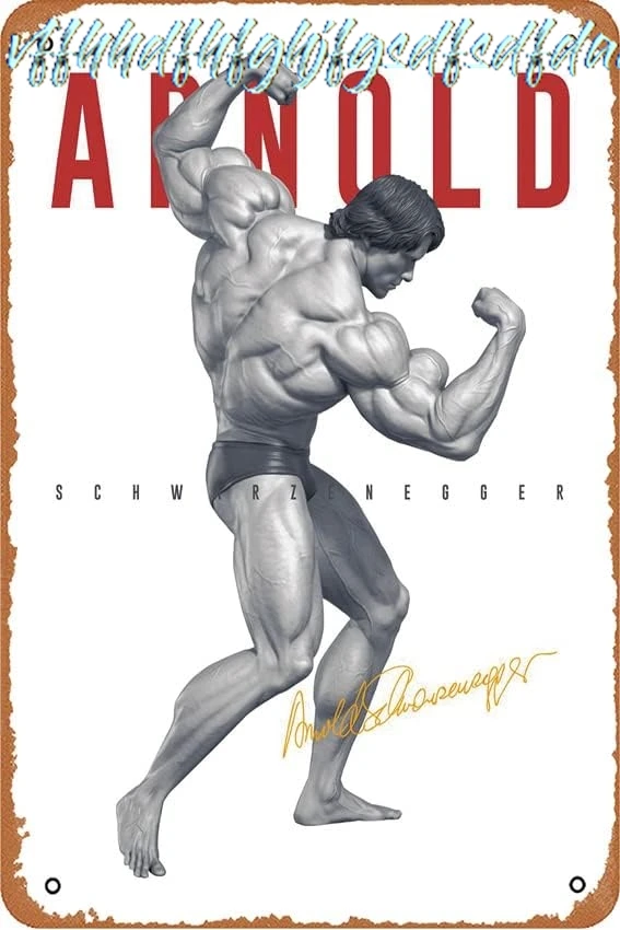 Arnold Schwarzenegger Bodybuilder Vintage decorative metal tin signs are very suitable for indoor, outdoor, clubs, restaura sign
