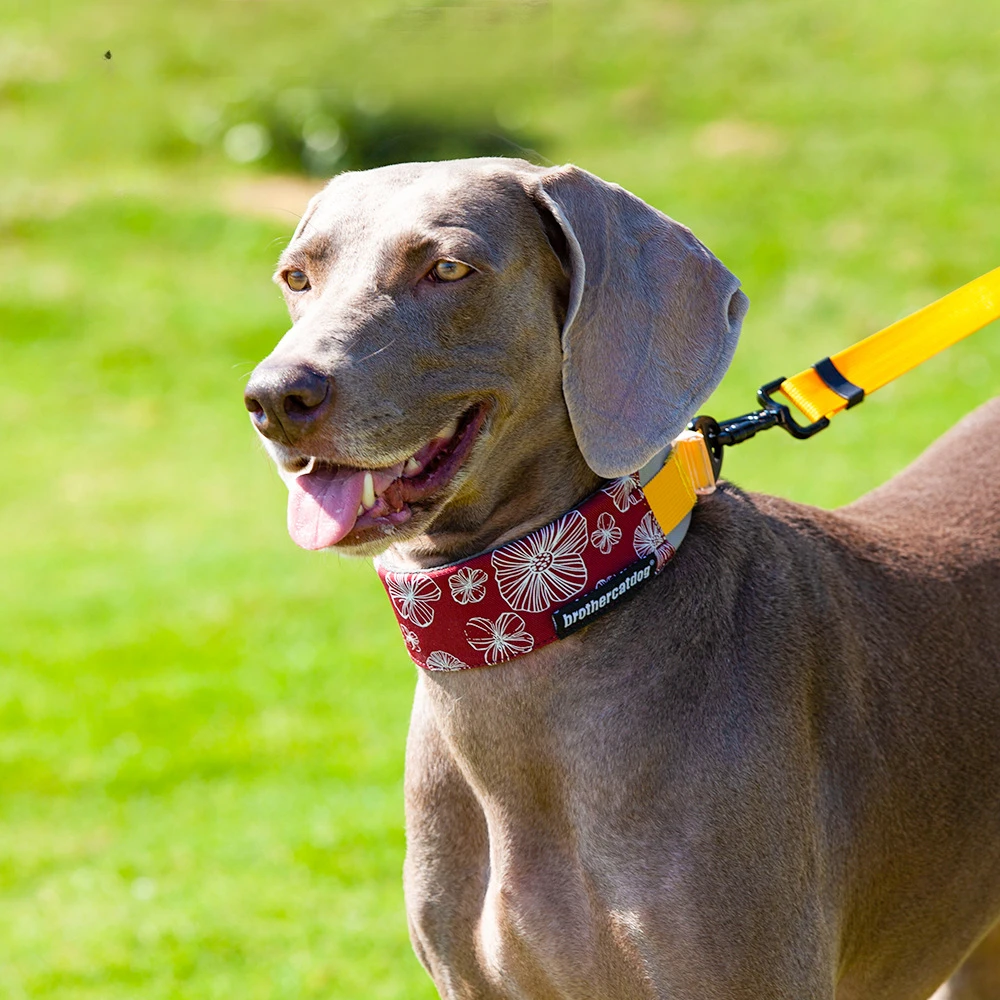 

New Adjustable Pet Butler Neck Ring Neck Cover Nylon Dog Collar