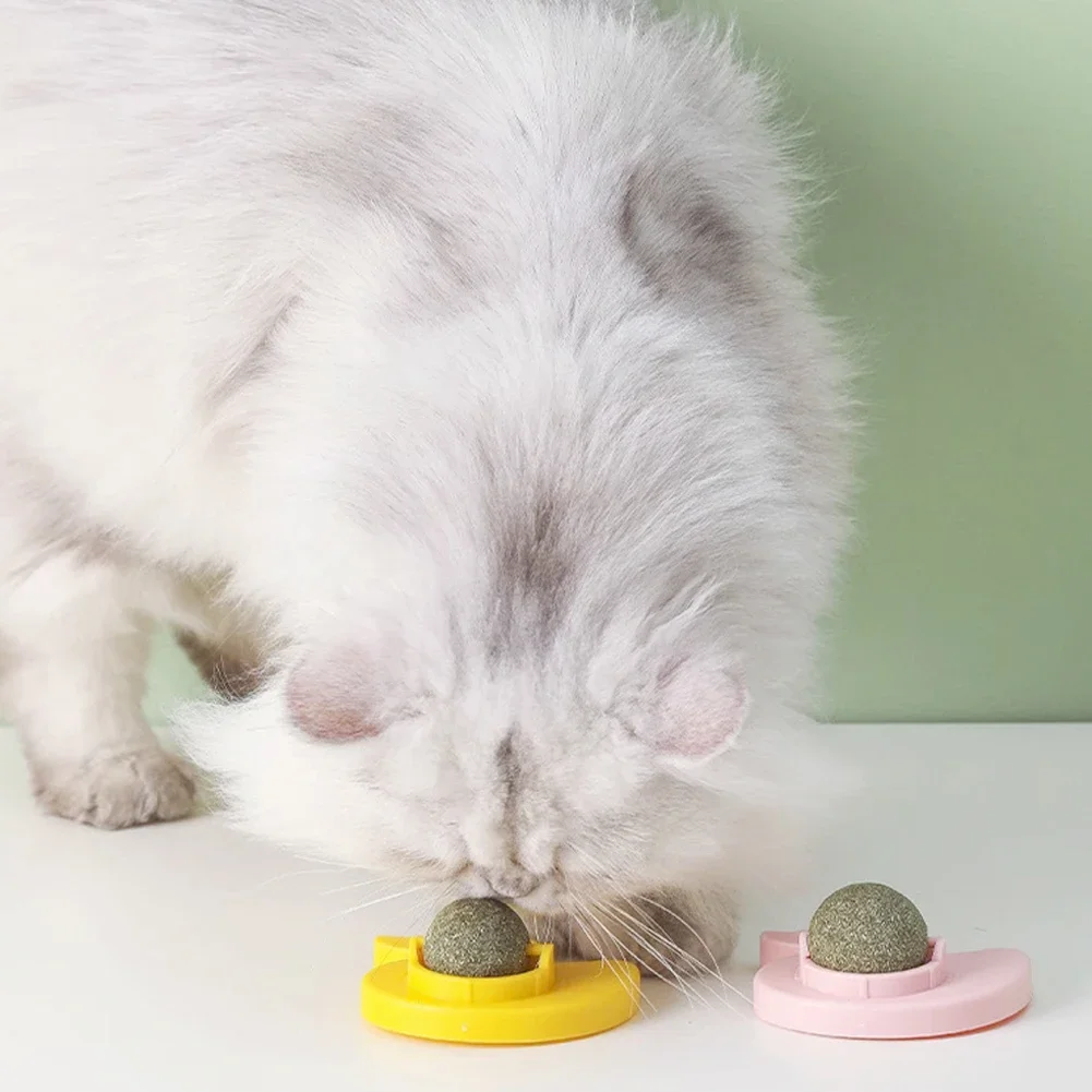 Mint bola giratória para gatos, acessórios de parede, Catnip Games, lambendo lanches, hortelã, respiração fresca, Pet Shop