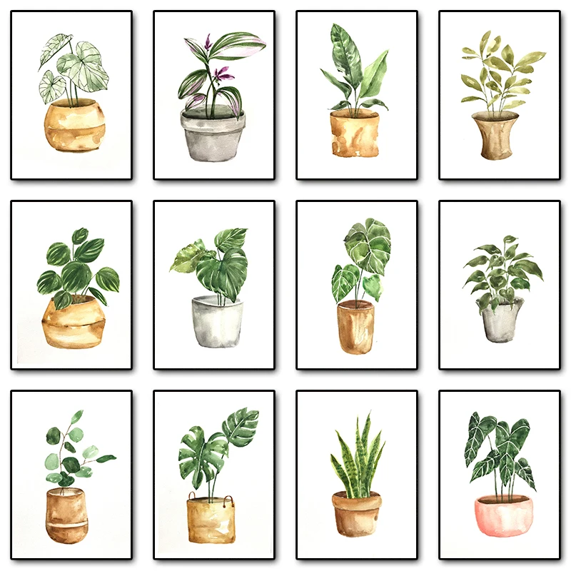 Plant Potted Waterc…