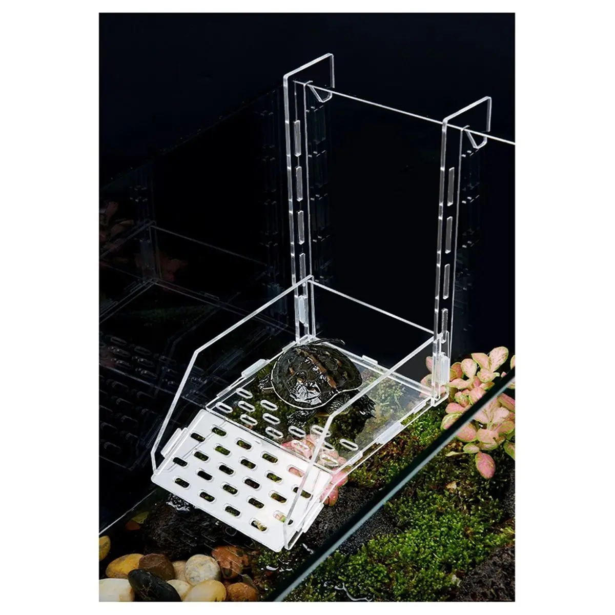 2026 NEW Turtle Sunbathing Platform - Wall Mounted Acrylic High Water Level Resting Floating Platform S