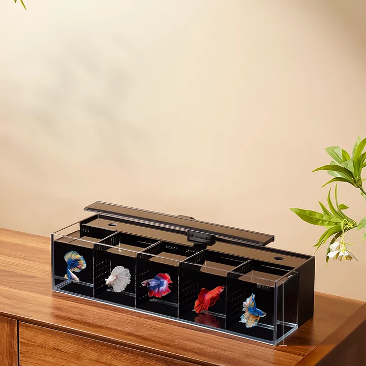 Modular Self-Cleaning Glass Fi - đánh giá và giá Aquarium Fish Zone