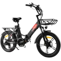 KAISDA K201 Adult Women Electric Bike 250W Motor Electric Bike 36V10.4Ah Battery 20 Inch Rubber Tire Mountain Snow Electric Bike