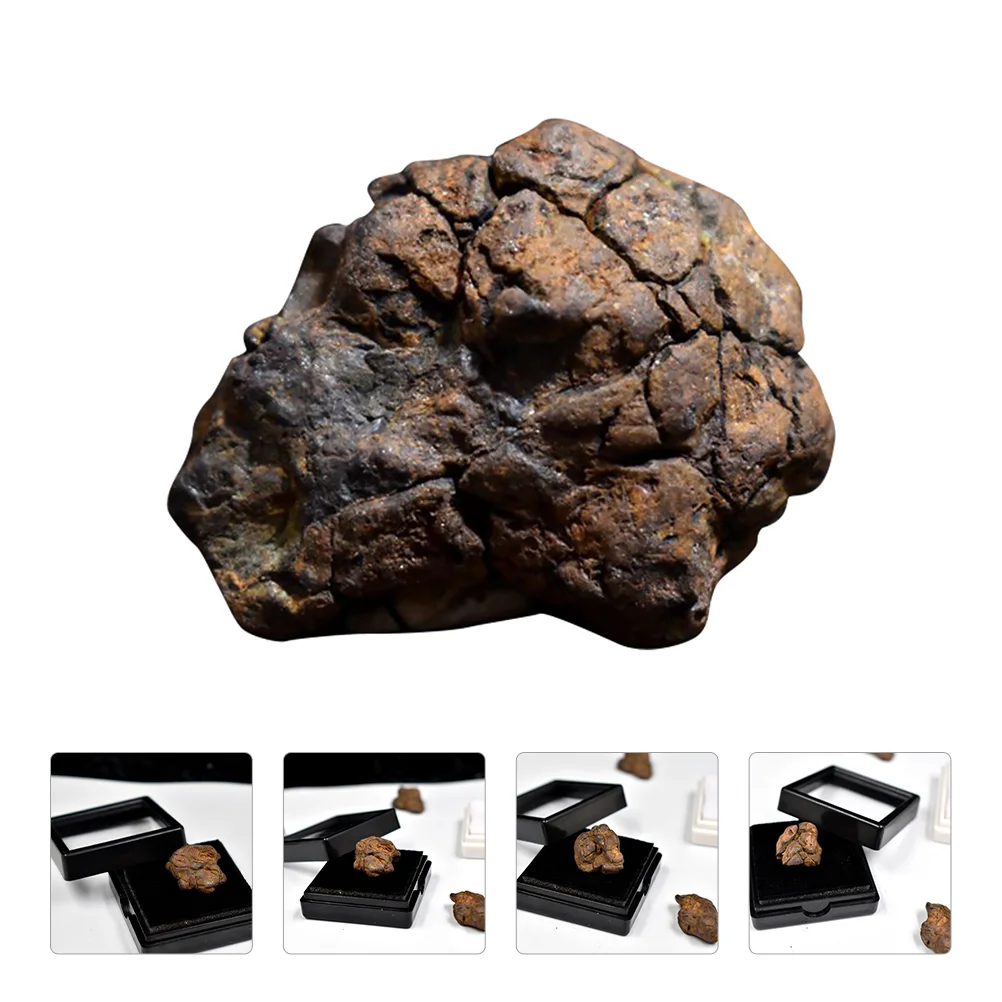 Olive Meteorite Adornment Teaching Specimen Desktop Ornament Dining Table Child