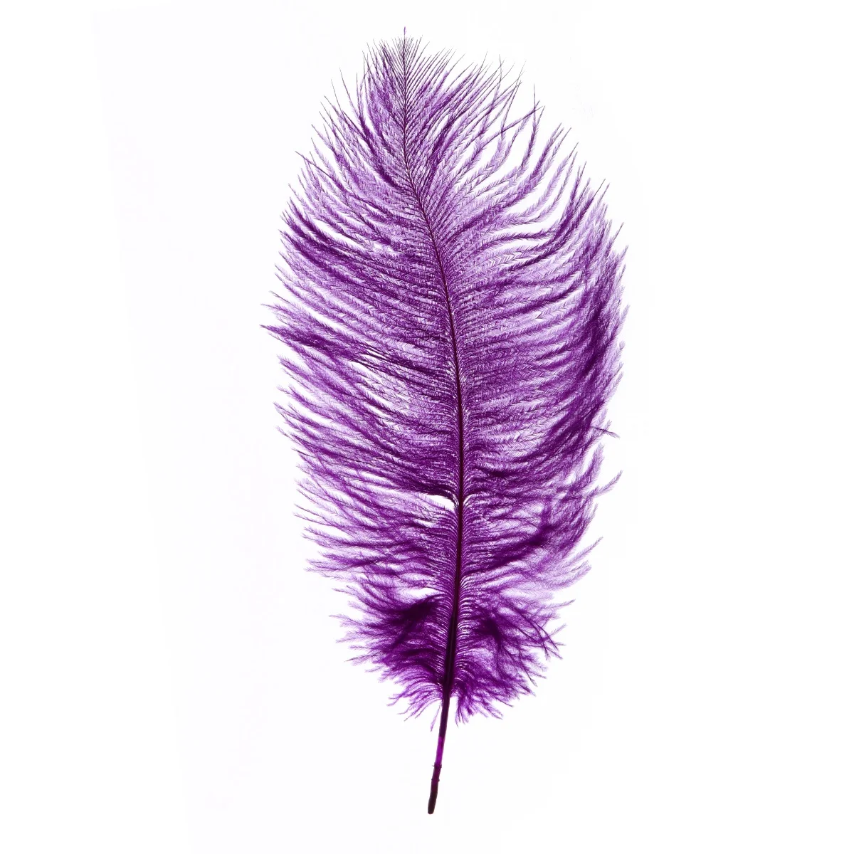 

10pcs Decorative Decoration Ostrich S Artificial Jewelry Natural Colors Wedding Craft Projects Hat Floral