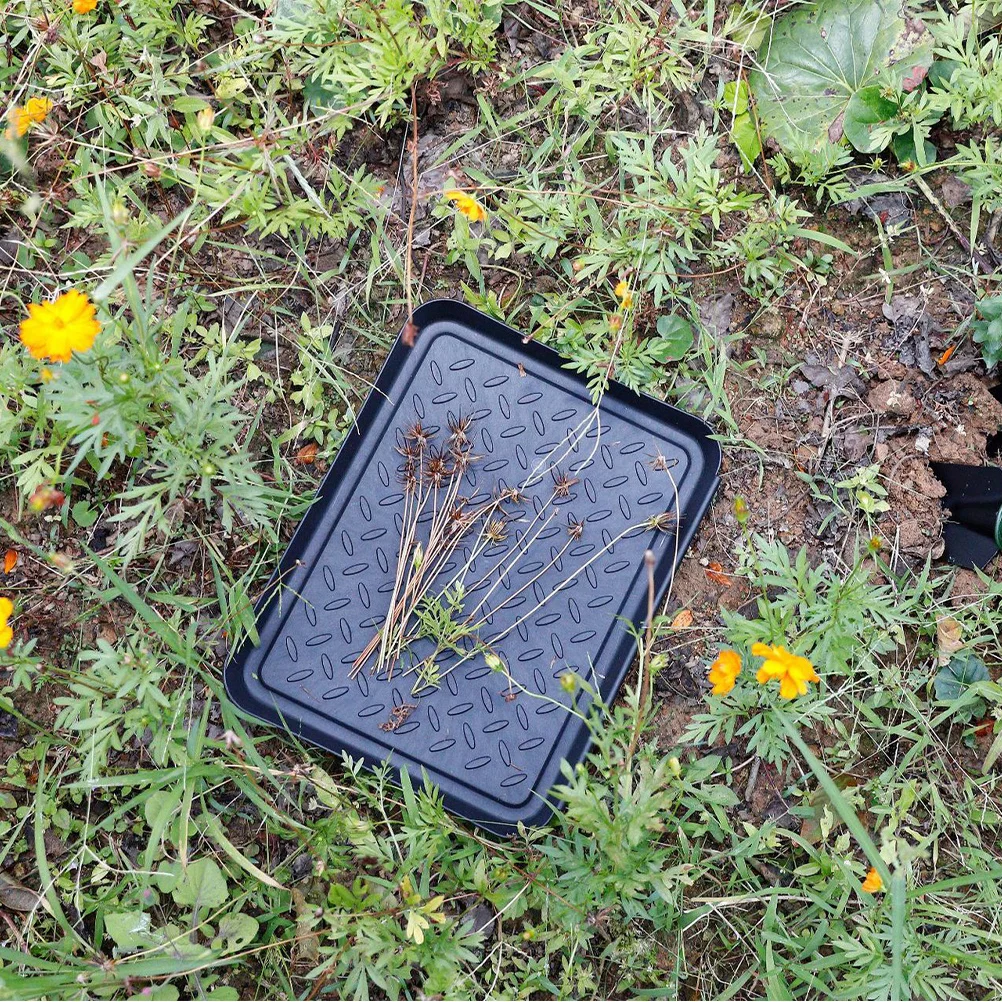 

3Pcs Plastic Shoes Storage Tray Multipurpose Stackable for Cleaning Gardening Plants Pet Black Shoes Storage Tray