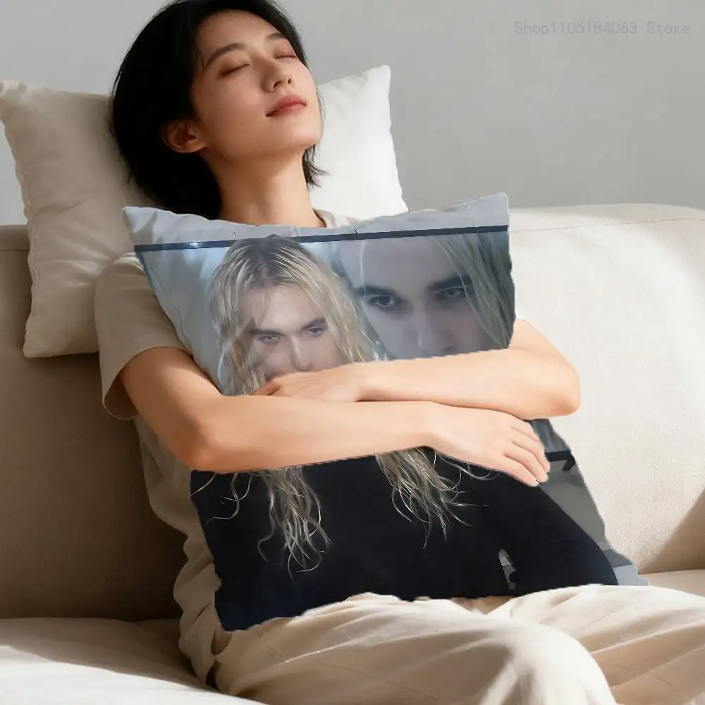 2hollis 2 poster boy Pillow Case For Sofa Decor Car Office Room Printing Cushion Cover Decorations and Protector