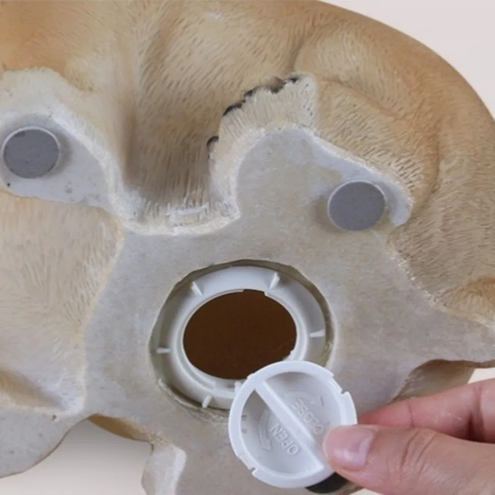 Kreatywny skarbonka w kształcie psa, duża pojemność, otwierana, zwierzęca skarbonka, dekoracyjna skarbonka w kształcie psa z motywem zodiaku.