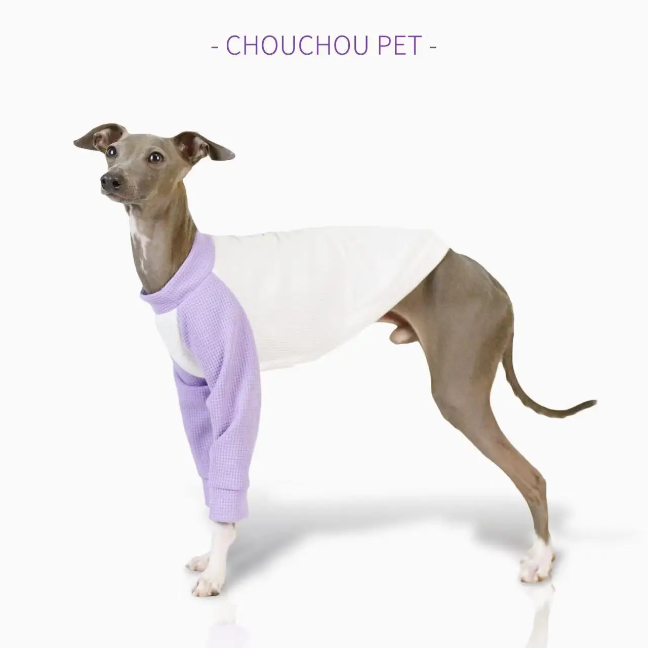 iggy Summer pet puppy clothes cotton color matching thin dog sportswear cute color matching Whippet medium dog clothes