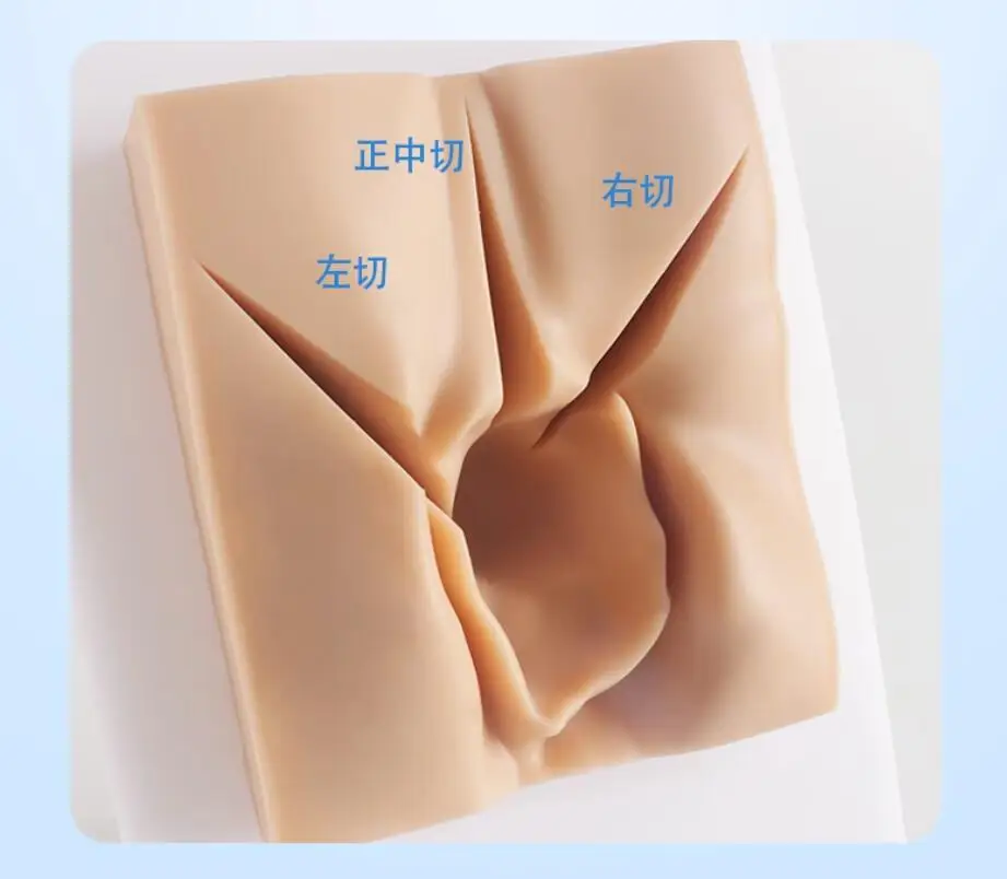 여자 외음부 사진을 활용한 산과부인과 수술 연습 모델의 실전적 활용법과 효과 분석