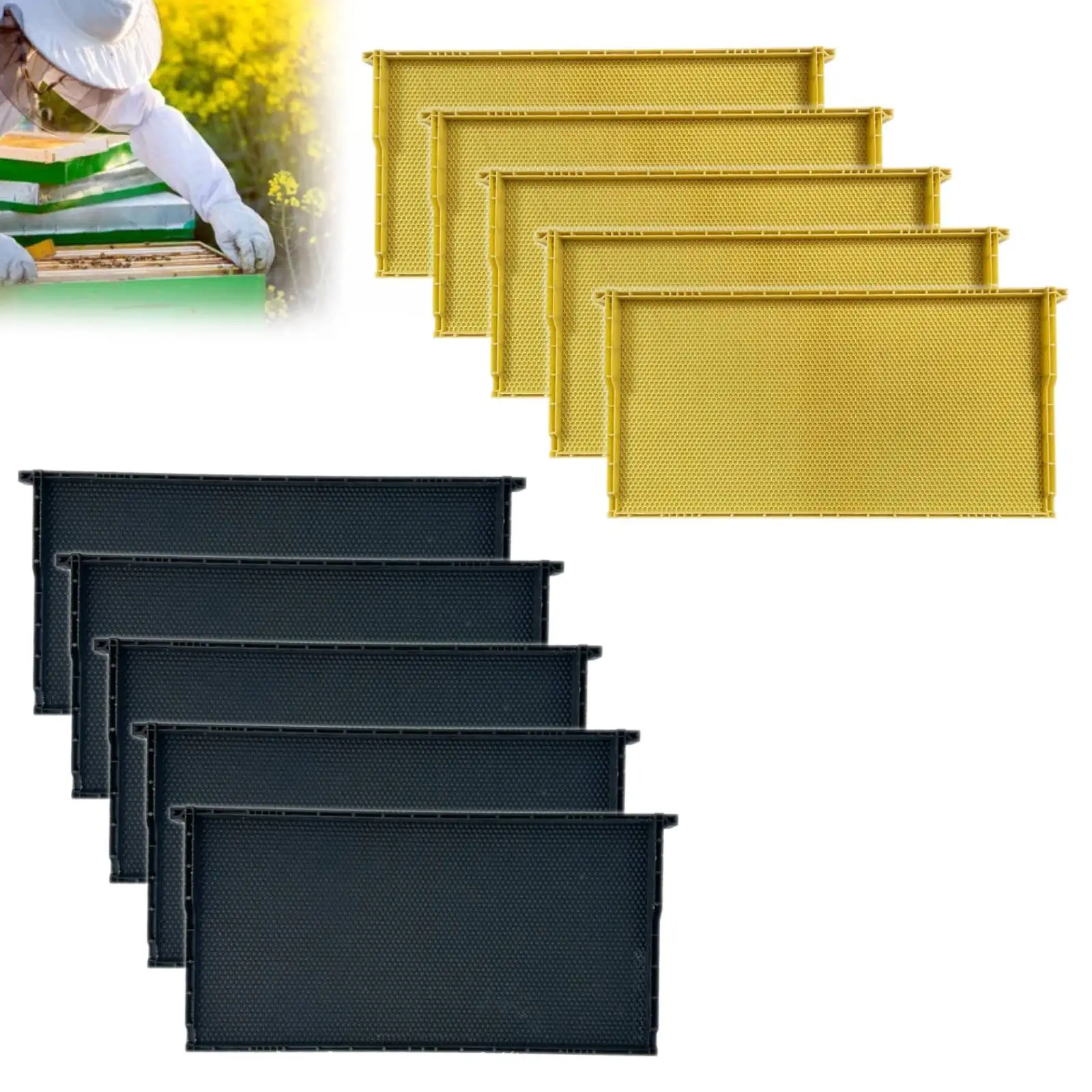 10 pcs Deep Plastic Frame with Comb Foundation Standard Langstroth Beehive Frame Beekeeping Tool Beehive Componnent