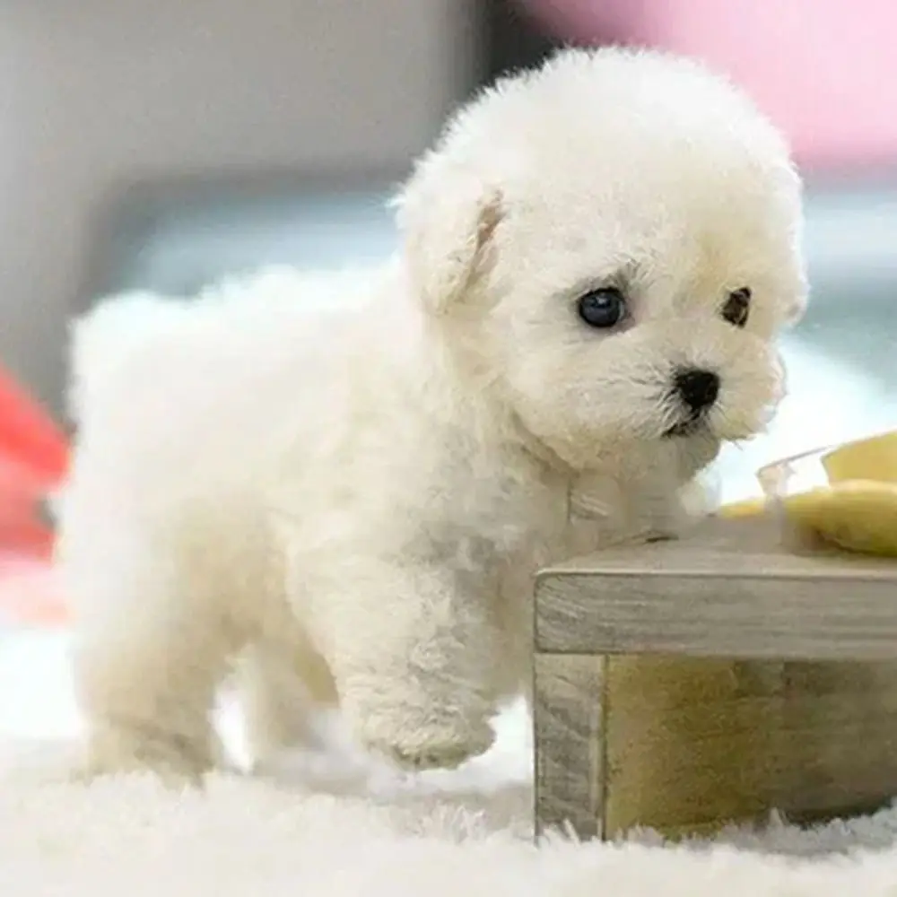 Interactive Robotic Puppy Stuffed Toy 1