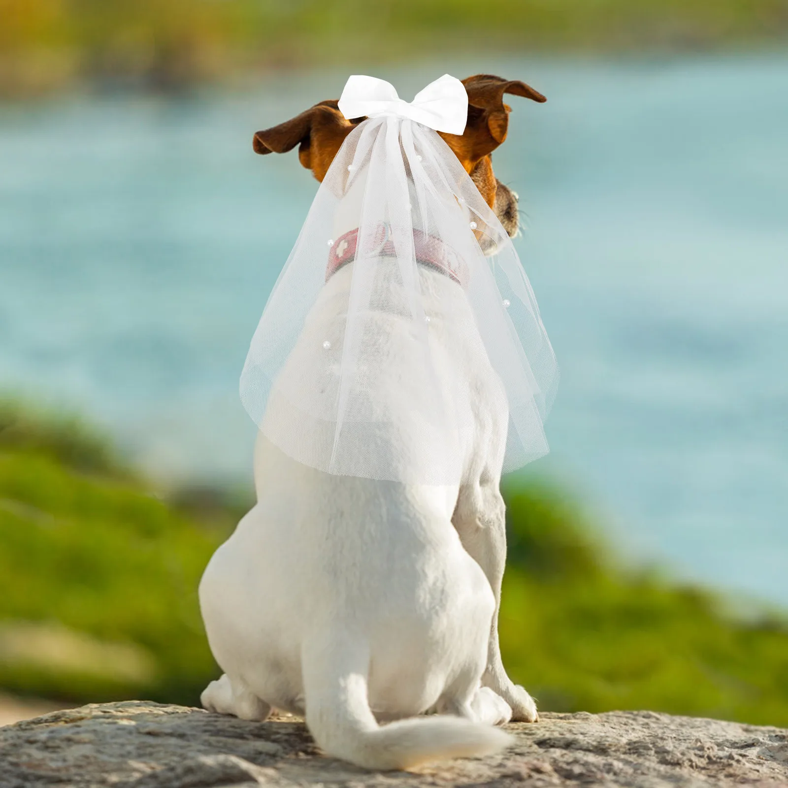 

Pet Bow Headdress Bridal Veil Dog Accessories White Pets Hair Wedding Decoration Bridesmaid Pearl Gauze Pet Costume Veil Dog Bow