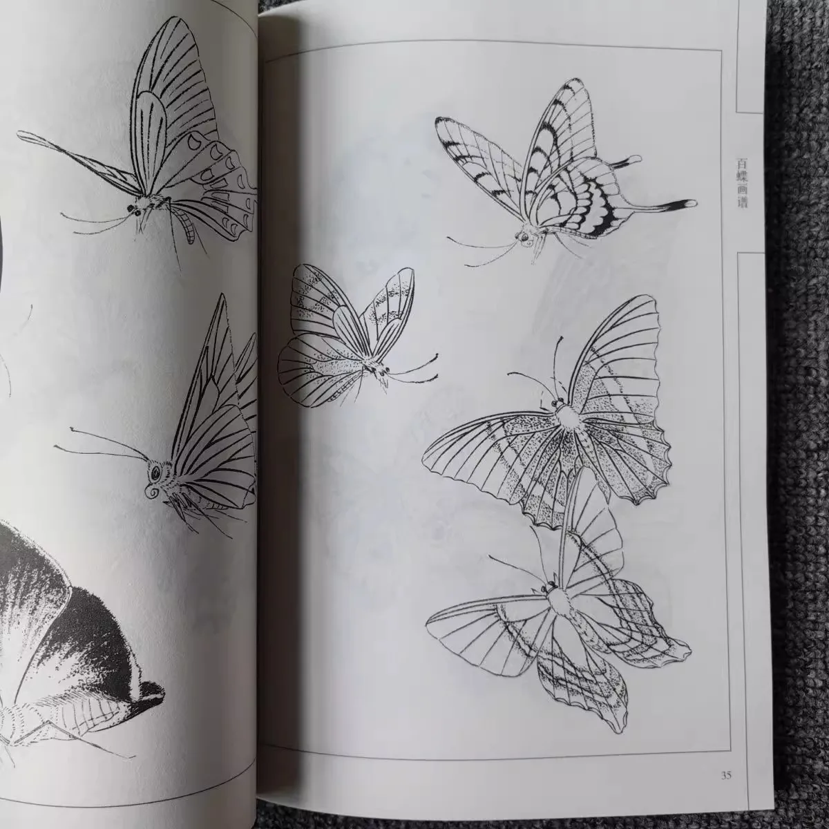 كتاب تلوين للكبار 94 صفحة مائة فراشات مجموعة رسم الخط الصيني لتخفيف التوتر والاسترخاء كتاب الرسم الفني #6