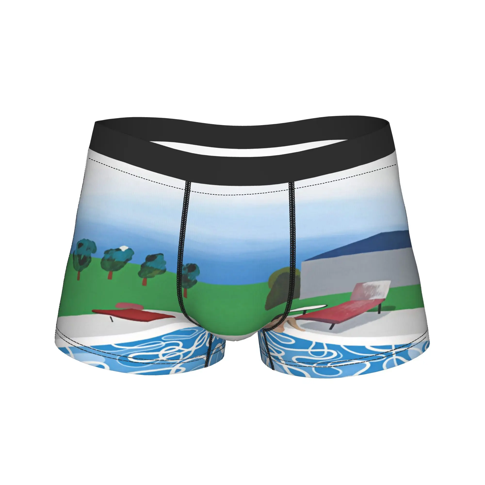 David Hockney Art   Swimming Ketok Bokonge Poster Boxer Brief  Underwear Trenky Men Comfortable Trunk Pattern Oversize Panties