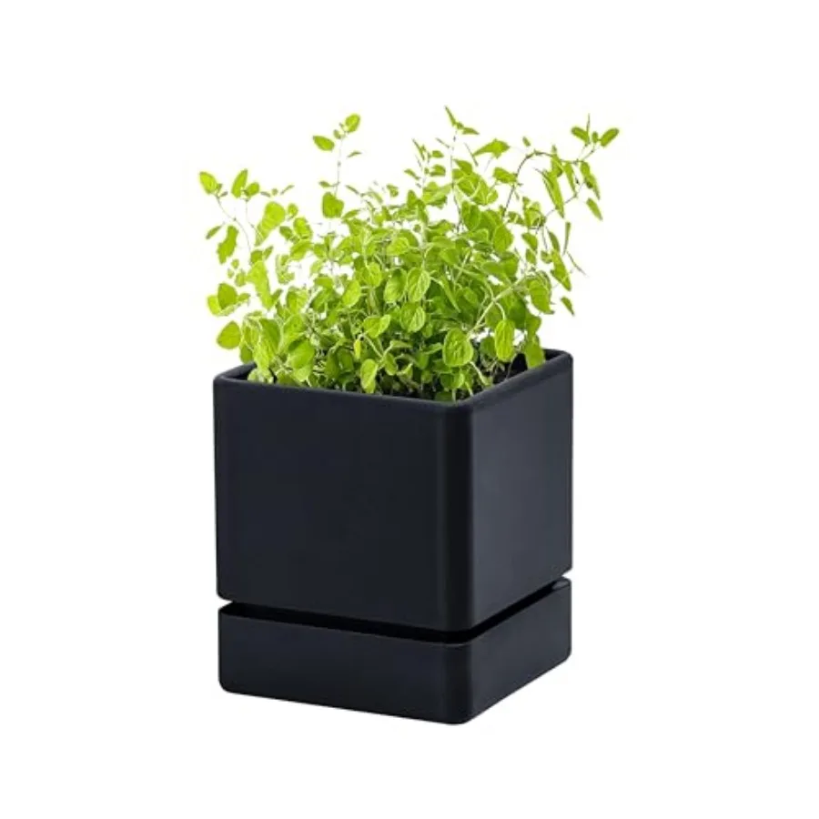 

Herb Planter Pot, Plastic Planter with Draage Holes and Saucer, Modern Decorative Gardeng Pot for door Plants, Flowers, Herbs,
