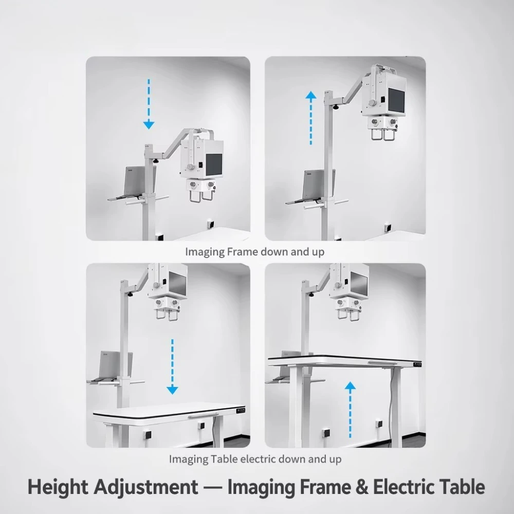 Portable veterinary DR system digital X-ray machine for diagnostic imaging equipment in animal clinics and hospitals