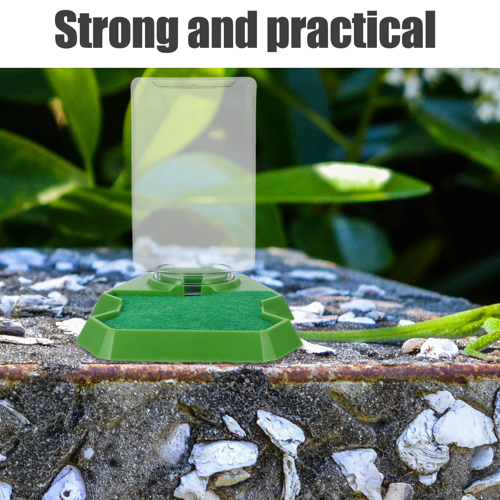 

1pcs Reptile Feeding Box Lizard Water Dish Safe Hydration Design Plastic Food Water Bowl For Turtle Gecko Habitat Accessories