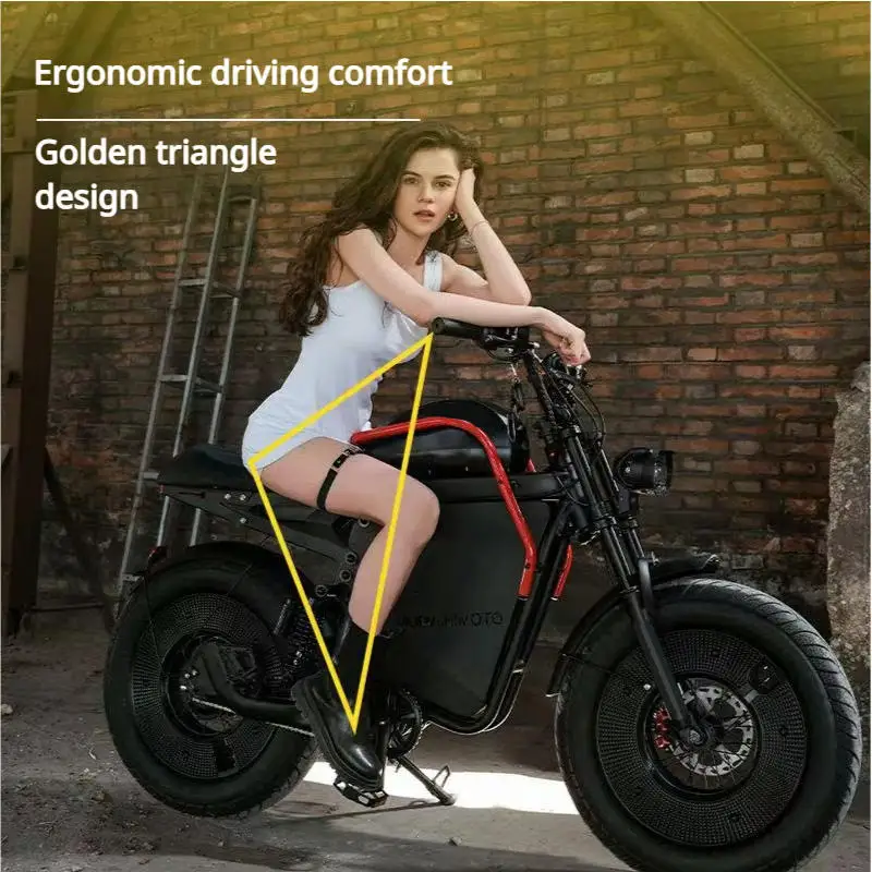 1000W motor HIMOTO X1 E-bike 48V20AH battery Adult mountain electric bike aluminum alloy frame 20 tire off-road electric bicycle image 8