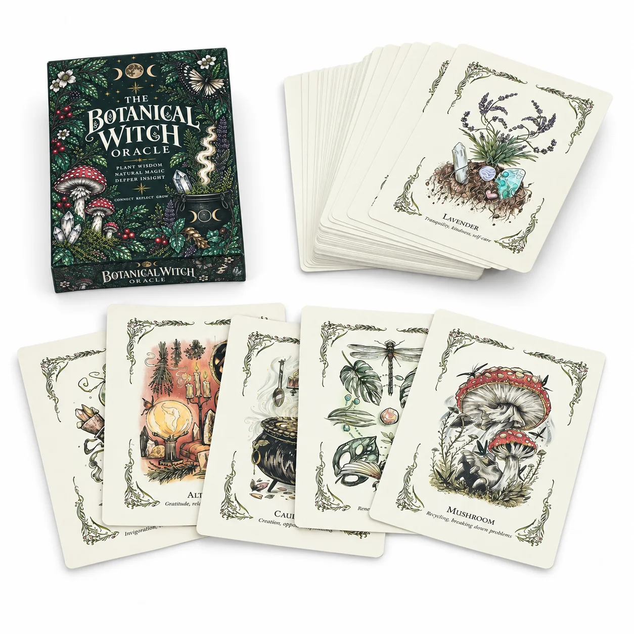 식물학적 마녀 오라클 카드: 직관, 자기 성찰, 식물의 - Tarot Deck With Guidebook 리뷰 및 가격