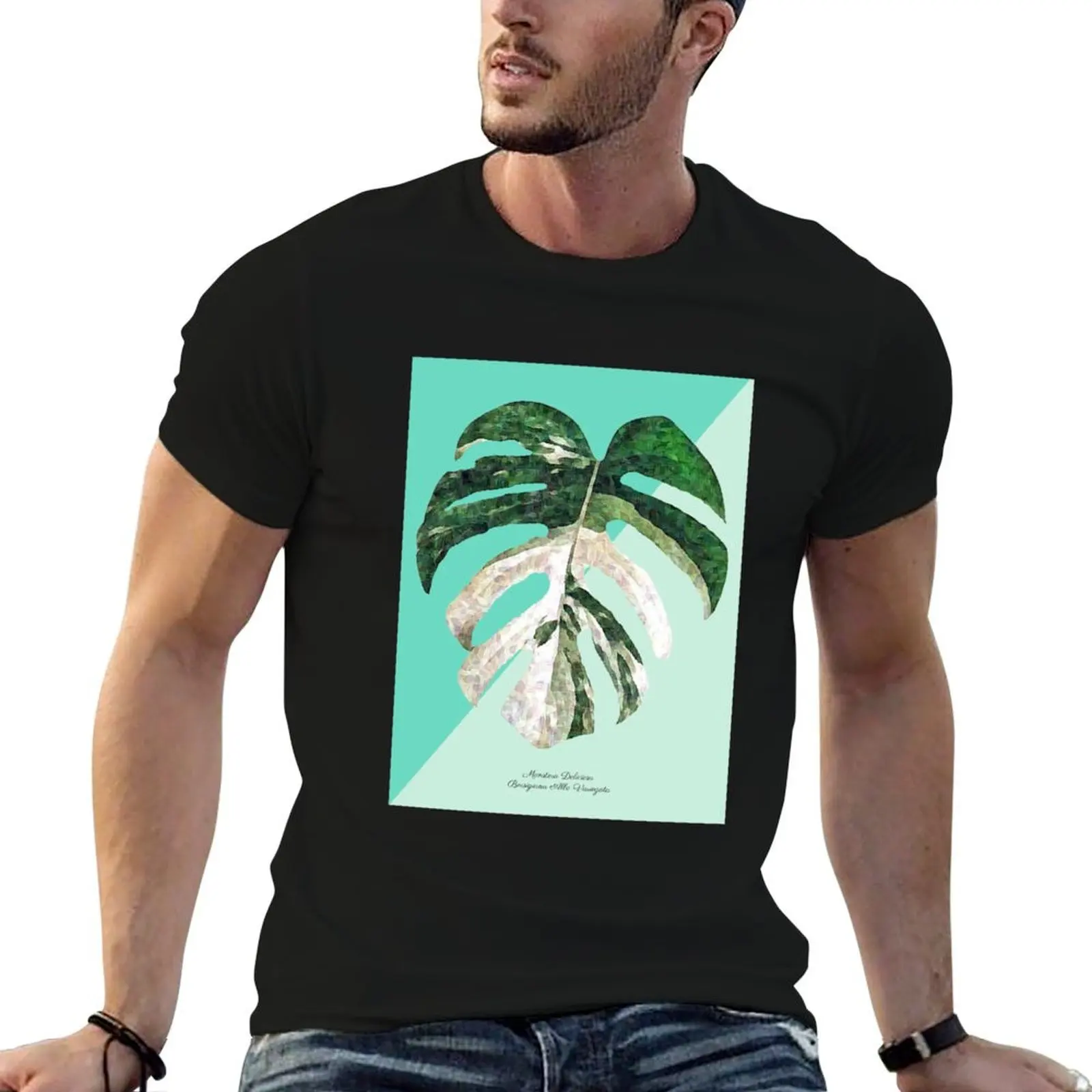 

Albo shirts for for Monstera white man T-Shirt funny Variegata shirts Aquamarine t cotton pack man t Deliciosa