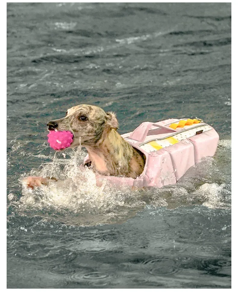 Pet dog dog life jacket high strength buoyancy small medium and large dog outdoor swimming