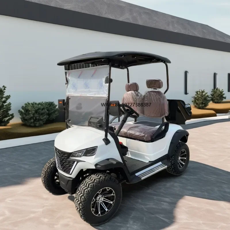 Street Legal Antique Electric Utility Carts with Cheap Price Including 4 2 Seater Vehicle and 48v Electric Golf Cart