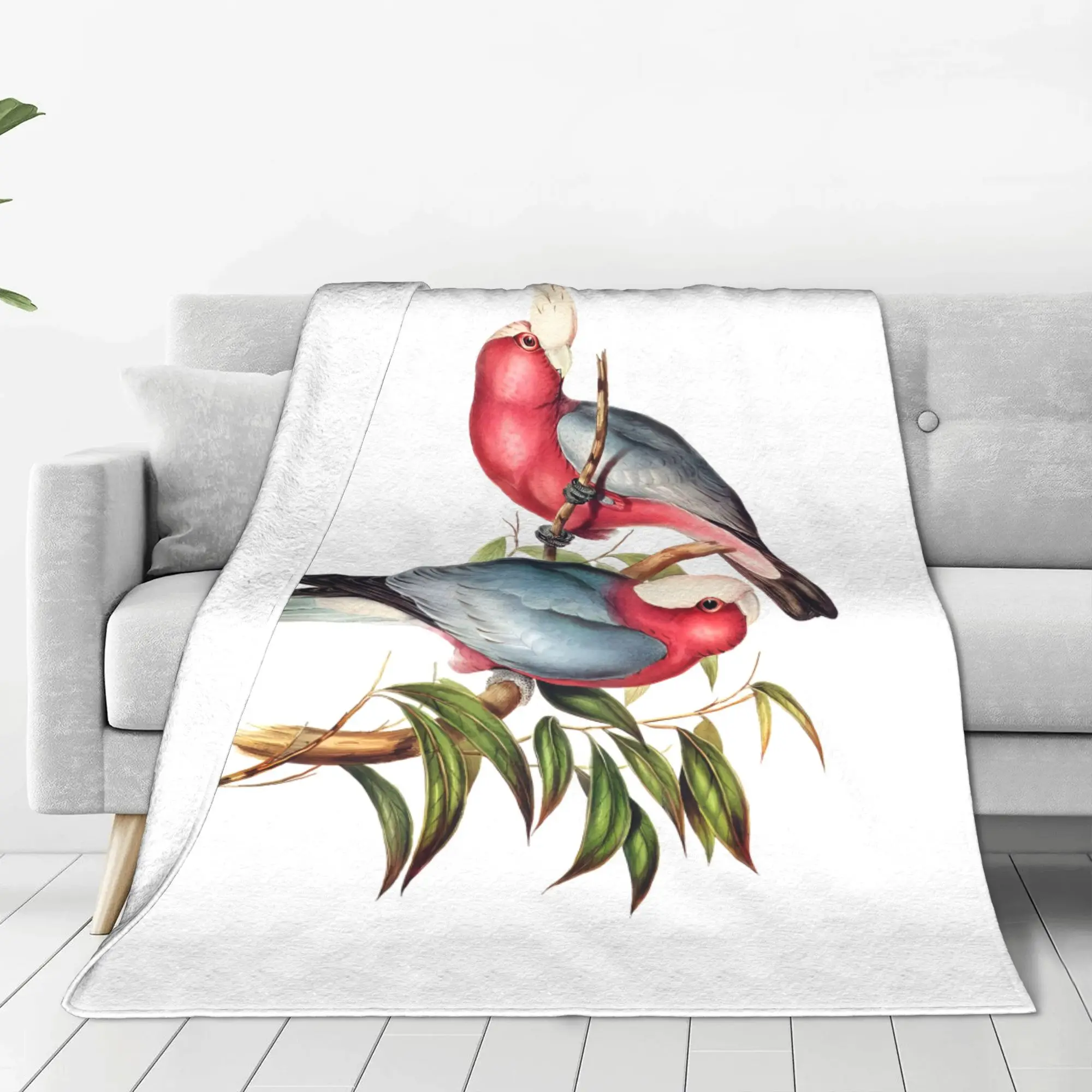 

Flannel Blanket Warm Soft Fluffy Adult Sofa Bed Throw Blanket for Living Room Comfortable Bedspread Outdoor Travel BL 101115