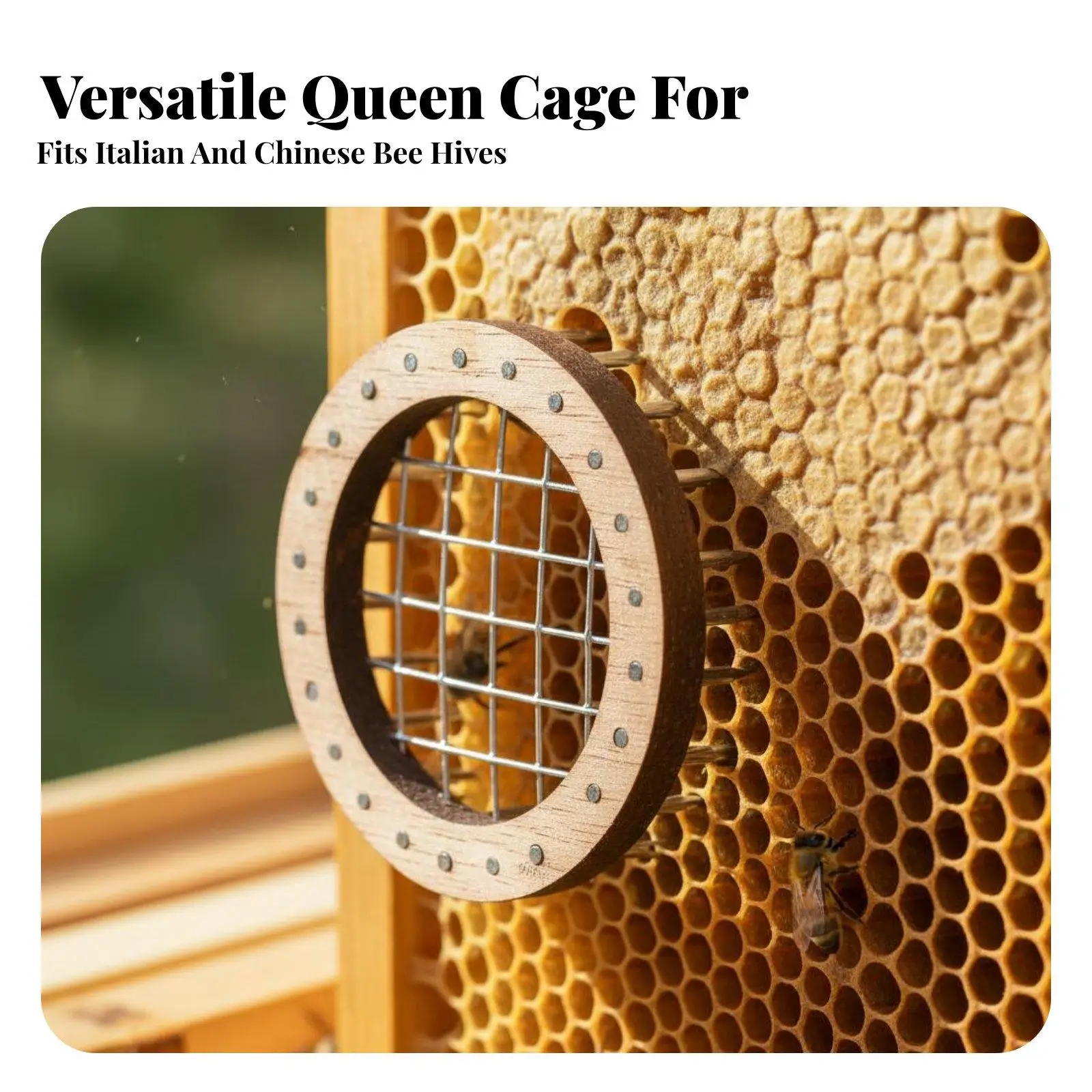 Queen Bee Wooden Cage Sturdy Metal Mesh Frame Pin-style Cage Isolator for Effective Bee Colony Introduction and Apiary